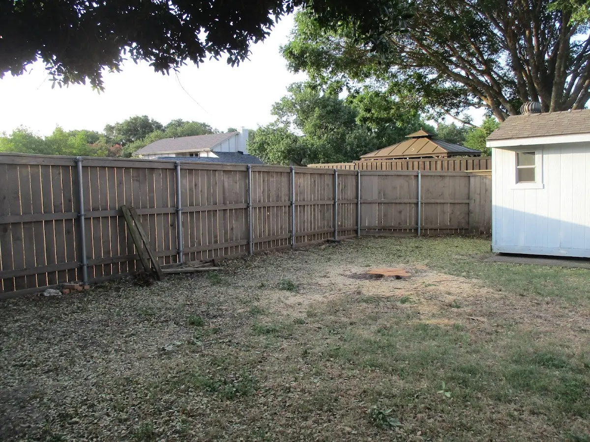 Cleared yard after professional tree removal in Kill Buck